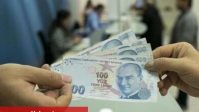Aile Destek ödemeleri hesaplarda - Haberois Aile Destek ödemeleri hesaplarda