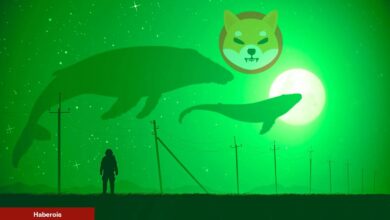 Akıllı Balinalar, Kürekle SHIB ve Bu 3 Coinden Alıyor!