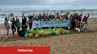 Aksigorta ve AgeSA Çalışanları, Yeşilist İş Birliği ile Sahil Temizliği Yaptı