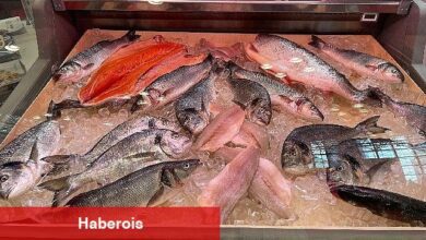 Amerikalıların protein ihtiyacını karşılamaya gittiler