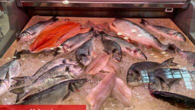 Amerikalıların proteinlerini karşılayacaklar