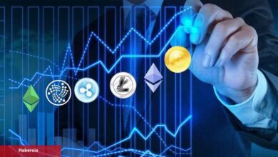 Analistler: Altcoin Dönemi Geliyor! Bu Coinler Toplanır - Haberois Analistler: Altcoin Dönemi Geliyor! Bu Coinler Toplanır