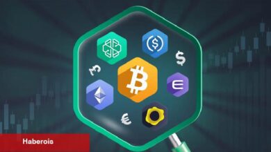 Analistler: Bu 3 Altcoin İçin ‘Büyük Fiyat Artışı’ Bekleyin!