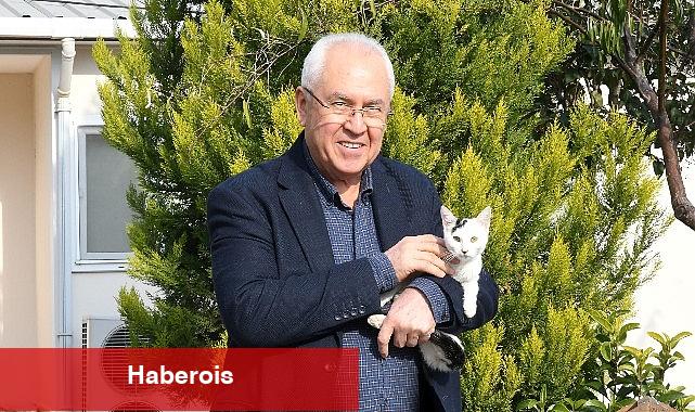 Artık yoğun bakım üniteleri de var! - Haberois Artık yoğun bakım üniteleri de var!
