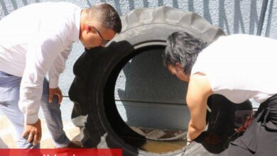 Atık lastiklere dikkat! Sivrisinek üretiyor - Haberois Atık lastiklere dikkat! Sivrisinek üretiyor