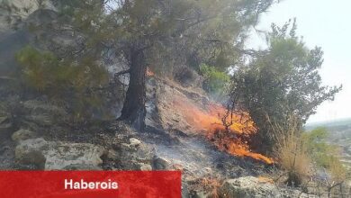 Aydın Büyükşehir Belediyesi İtfaiyesi, Söke'de ormanlık alanda çıkan yangını hızlı müdahaleyle büyümeden söndürdü - Haberois Aydın Büyükşehir Belediyesi İtfaiyesi, Söke'de ormanlık alanda çıkan yangını hızlı müdahaleyle büyümeden söndürdü