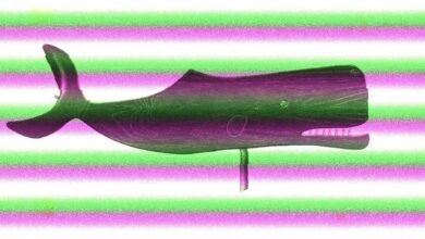 Balinalar Bu 2 Altcoin’i Dumplıyor! Büyük Düşüş