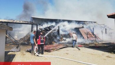 Bilecik’te at çiftliğinde büyük yangın