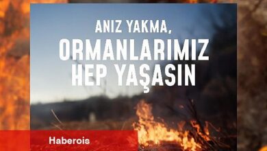 Bir kıvılcım geleceğimizi yakmasın, ormanlarımız hep yaşasın! - Haberois Bir kıvılcım geleceğimizi yakmasın, ormanlarımız hep yaşasın!