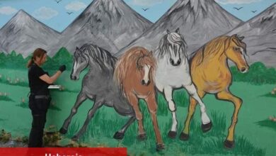 Bir sokak buluşması! Evvel çizimlerini fotoğrafladı, sonra da kendisini - Haberois Bir sokak buluşması! Evvel çizimlerini fotoğrafladı, sonra da kendisini