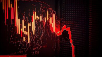 Bitcoin Düşüşlerini Bilen Efsane: Bu Altcoin Çökecek!