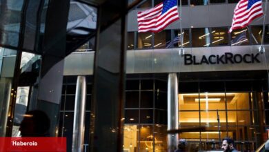 BlackRock CEO’sundan Bitcoin Açıklaması!