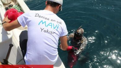 Bodrum'da dip temizliğe devam - Haberois Bodrum'da dip temizliğe devam