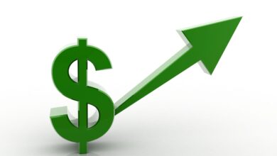 Bu Altcoin Google Hotels’e Girdi! Fiyatı Fırladı!