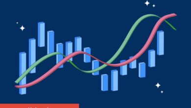 Bu Hafta İzlenecek 4 Altcoin Aşikâr Oldu: İşte Kritik Seviyeler!
