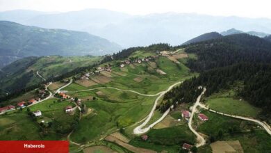 Çambaşı Yaylası nerede? Çambaşı Yaylasına nasıl gidilir?