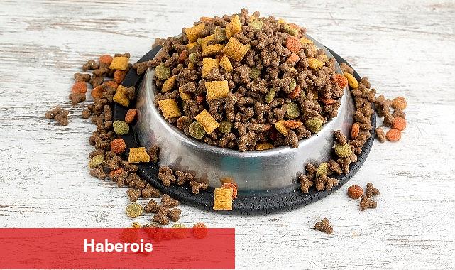 Can dostların mamaları Türkiye'de üretiliyor Türkiye, kedi-köpek maması ihracatında 100 milyon dolar hedef koydu