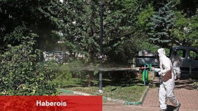 Çankaya parklarına yaz bakımı - Haberois Çankaya parklarına yaz bakımı