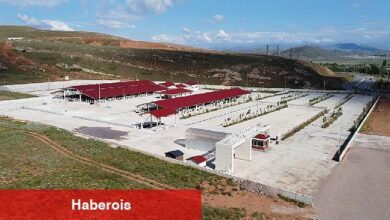 Canlı Hayvan Pazarı ve Ot Borsası Sivas Hayvancılığına kazandırıldı - Haberois Canlı Hayvan Pazarı ve Ot Borsası Sivas Hayvancılığına kazandırıldı