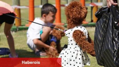 Çeşmeli can dostlar Fest Pati'de buluştu - Haberois Çeşmeli can dostlar Fest Pati'de buluştu