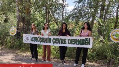 Çevre aktivistlerinden Eskişehir Orman Fidanlığı'na inceleme - Haberois Çevre aktivistlerinden Eskişehir Orman Fidanlığı'na inceleme