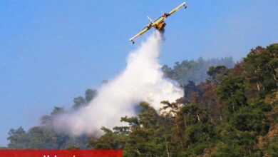 Cumhurbaşkanı Erdoğan'dan 'yeşil vatan' sahipliğine davet - Haberois Cumhurbaşkanı Erdoğan'dan 'yeşil vatan' sahipliğine davet