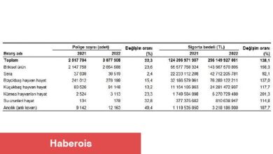 Devlet destekli tarım sigortalarında toplam sigorta bedeli %138,1 arttı - Haberois Devlet destekli tarım sigortalarında toplam sigorta bedeli %138,1 arttı
