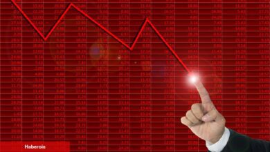 ‘Dikey Düşüş Uyarısı!’ Usta Analistin Radarında Bu 5 Altcoin Var