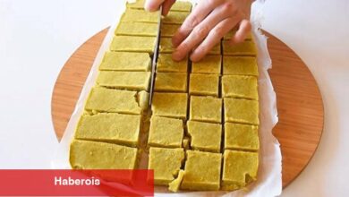 Doğal bulyon tanımı