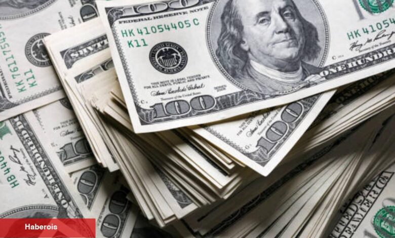 Dolar/TL haftaya rekorla başladı - Haberois Dolar/TL haftaya rekorla başladı