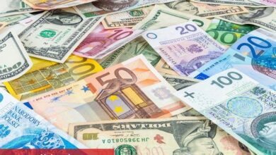 Döviz mevduat hesapları büyüyor