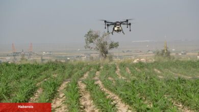 Drone'lar tarlaya indi! Çiftçinin yükü azaldı - Haberois Drone'lar tarlaya indi! Çiftçinin yükü azaldı