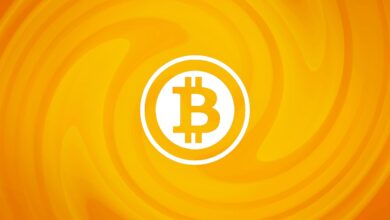 Düşüşleri Öngören Efsane: Bitcoin Bu Tabanlarda Çakılacak!