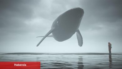 DYDX, GRT, PEPE, WOJAK Satan Balinalar Bu Coinleri Alıyor!