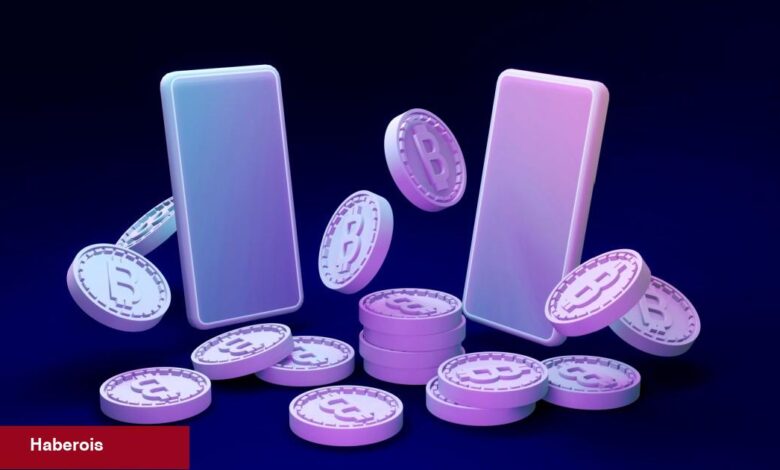 Efsane Analist: Bu Bitcoin Borsası On Yılın Dolandırıcılığı! - Haberois Efsane Analist: Bu Bitcoin Borsası On Yılın Dolandırıcılığı!