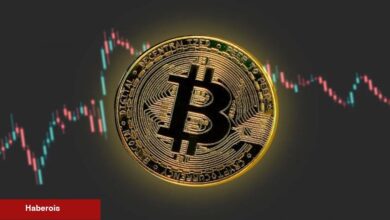 Efsane Bitcoin Analisti: Bu Tarihte Alın, O Tarihte ise Satın!