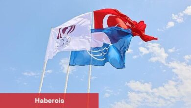 Gelinkaya 'Mavi Bayrak'ına kavuştu