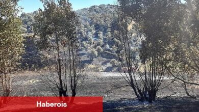 Germencik'te otoban kenarında çıkan yangın kontrol altına alındı - Haberois Germencik'te otoban kenarında çıkan yangın kontrol altına alındı