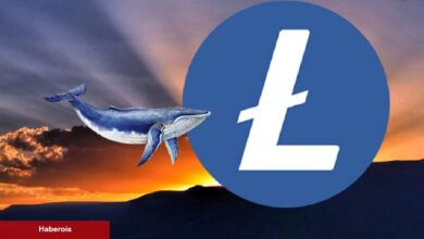 Halving İçin Geri Sayım: Litecoin Balinalarından Değerli Hamle!