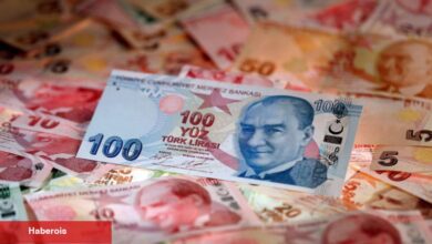 Hazine iki tahville 29,6 milyar TL borçlandı