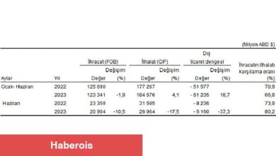 Haziran ayında genel ticaret sistemine göre ihracat yüzde 10,5, ithalat yüzde 17,5 azaldı