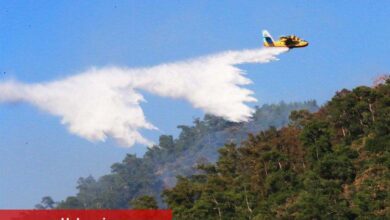 İçişleri'nden 'ormanlara' yeni genelge! - Haberois İçişleri'nden 'ormanlara' yeni genelge!