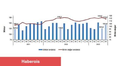 İhracat birim değer endeksi yüzde1,2 azaldı