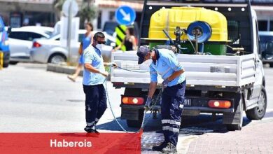 İklim krizi sivrisinek popülasyonunu artırdı - Haberois İklim krizi sivrisinek popülasyonunu artırdı