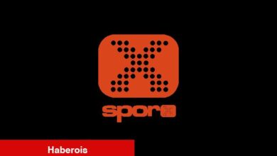 İşte kaplumbağa 'Tuki'nin derbi varsayımı