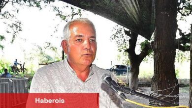 İzmir mozzarellası için üreticiye destek devam ediyor - Haberois İzmir mozzarellası için üreticiye destek devam ediyor