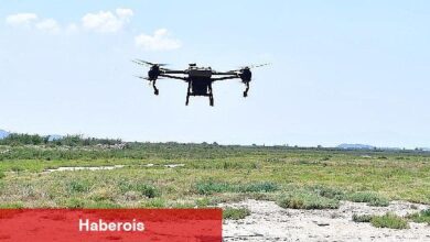 İzmir'de sivrisinek ile dronlu mücadele - Haberois İzmir'de sivrisinek ile dronlu mücadele