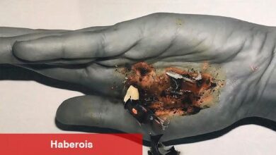 Kadın sanatçılar İstanbul Modern'de Hep Buradayız - Haberois Kadın sanatçılar İstanbul Modern'de Hep Buradayız