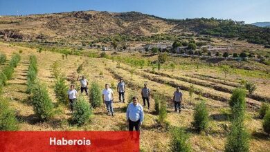 "Karşıyaka Kent Ormanı" geleceğe nefes olacak - Haberois "Karşıyaka Kent Ormanı" geleceğe nefes olacak