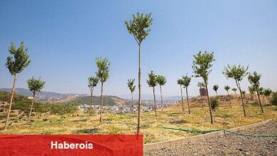 Karşıyaka'da iklim krizine karşı 95 bin ağaç toprakla buluşturuldu - Haberois Karşıyaka'da iklim krizine karşı 95 bin ağaç toprakla buluşturuldu